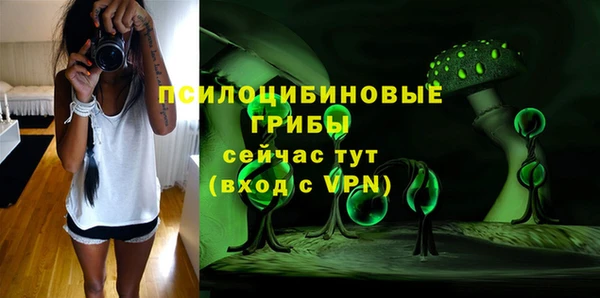 спиды Володарск